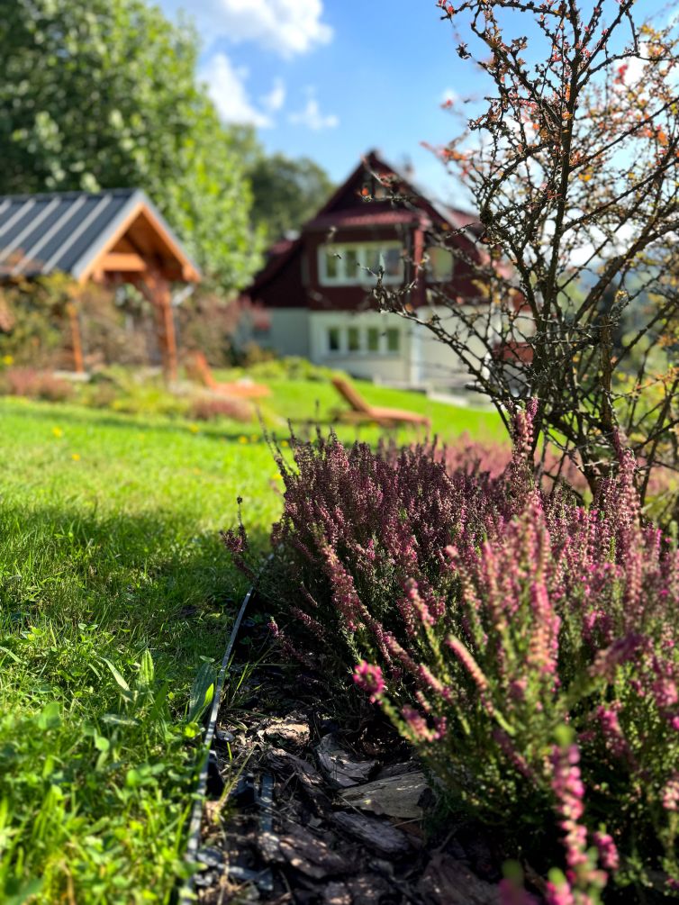 611 npm Jagniatków Ogród